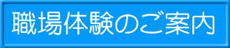 �E��̌��̂��ē�