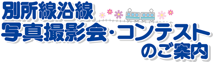 �ʏ��������ʐ^�B�e��