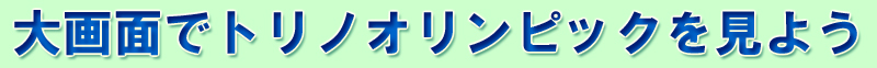 大画面でトリノオリンピックを見よう