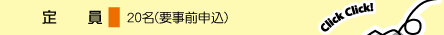 ����F20���i�v���O�\�����j