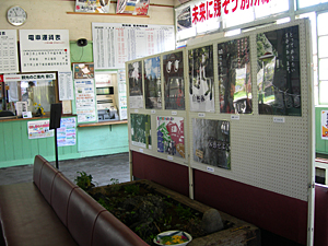 展示の様子