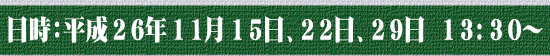 日時：平成26年11月15日、22日、29日 13:30～