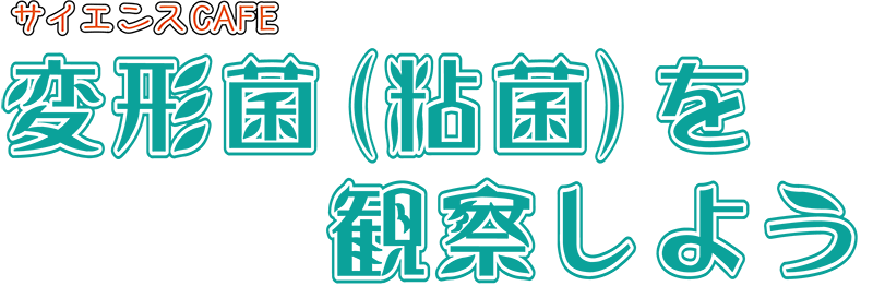 変形菌（粘菌）を観察しようタイトル画