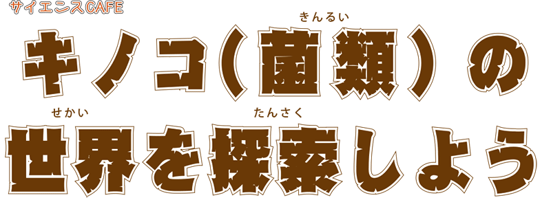 サイエンスカフェキノコ（菌類）の世界を探索しよう