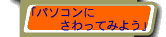 p\RɂĂ݂悤