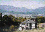 photo8 image